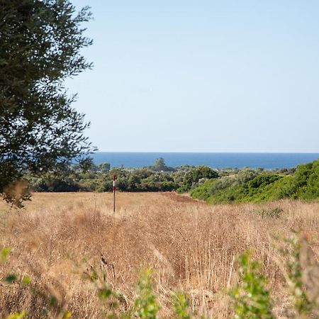 Masseria Scaledda Manduria Buitenkant foto